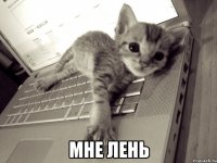  мне лень