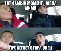 тот самый момент, когда мимо пробегает отара овец