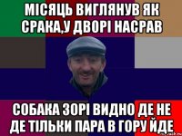 Місяць виглянув як срака,у дворі насрав собака зорі видно де не де тільки пара в гору йде