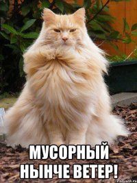  мусорный нынче ветер!