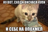 ну вот, сходи вискаса купи и себе на опохмел