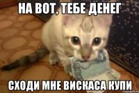 на вот, тебе денег сходи мне вискаса купи