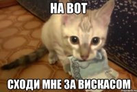 на вот сходи мне за вискасом