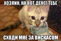 хозяин, на вот денег тебе сходи мне за вискасом