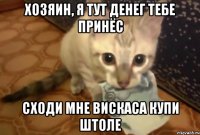 хозяин, я тут денег тебе принёс сходи мне вискаса купи штоле