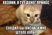 хозяин, я тут денег принёс сходил бы вискаса мне штоле купил