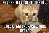хозяин, я тут денег принёс сходил бы вискаса штоле купил