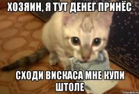 хозяин, я тут денег принёс сходи вискаса мне купи штоле