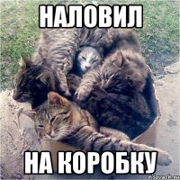 наловил на коробку