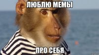 люблю мемы про себя
