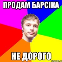 продам Барсіка не дорого