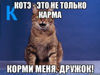 котэ - это не только карма корми меня, дружок!