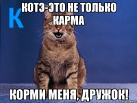 котэ-это не только карма корми меня, дружок!