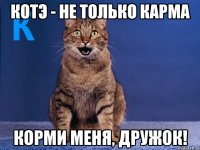 котэ - не только карма корми меня, дружок!