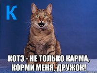  котэ - не только карма, корми меня, дружок!