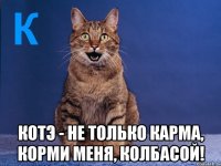  котэ - не только карма, корми меня, колбасой!