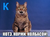  котэ, корми, колбасой!