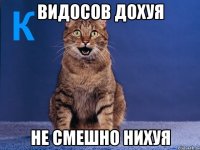 Видосов дохуя Не смешно нихуя