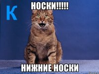 НОСКИ!!!!! НИЖНИЕ НОСКИ