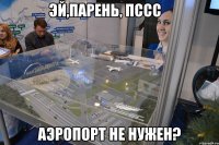 ЭЙ,ПАРЕНЬ, ПССС     АЭРОПОРТ НЕ НУЖЕН?