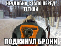 неудобно стало перед тёткой подкинул брони
