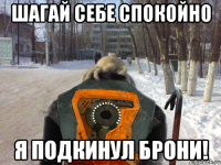 шагай себе спокойно я подкинул брони!