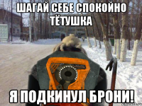 шагай себе спокойно тётушка я подкинул брони!