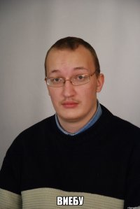  Виебу