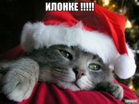 ИЛОНКЕ !!!!! 