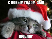 C новым годом, зай! Люблю*