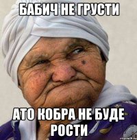 бабич не грусти ато кобра не буде рости