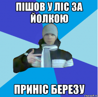 Пішов у ліс за йолкою приніс березу