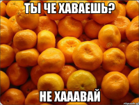 ты че хаваешь? не хааавай