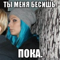ты меня бесишь. пока.