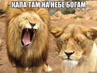 Капа Там на небе Богам 
