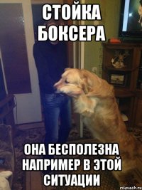 Стойка боксера она бесполезна например в этой ситуации