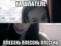 на шпателе плесень плесень плесень