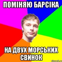 Поміняю барсіка на двух морських свинок