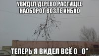 Увидел дерево,растущее наоборот возле ИнБИО Теперь я видел всё о_о"