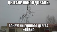 Цыгане наколдовали. Вокруг ни единого дерева #ИнБИО