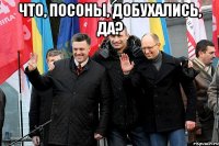 Что, посоны, добухались, да? 