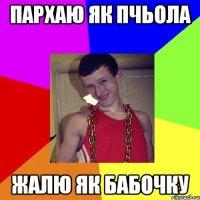 Пархаю як пчьола жалю як бабочку