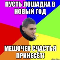 Пусть лошадка в новый год мешочек счастья принесёт!