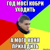 Год моєї кобри уходить а мого коня приходить