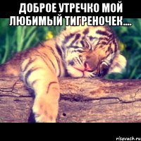 Доброе утречко мой любимый тигреночек.... 