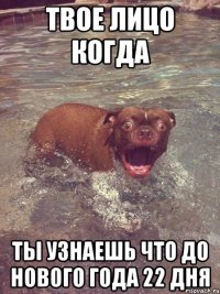 Твое лицо когда ты узнаешь что до нового года 22 дня