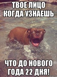 Твое лицо когда узнаешь что до нового года 22 дня!
