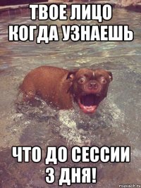 Твое лицо когда узнаешь что до сессии 3 дня!
