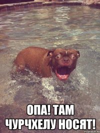  опа! там чурчхелу носят!