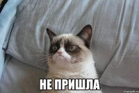  не пришла